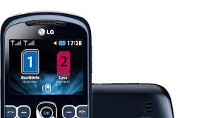 LG C310 | Hardware