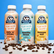 Plus 3 keto coffee creamer recipes so you can make your own keto coffee creamer at home. Mooala Vegan Creamers Popsugar Fitness