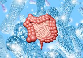 Image result for Clostridioides difficile