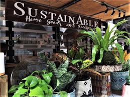 One fantastic thing about these plants is that they are quite tolerant of. Ponce City Market Rooftops Restaurants Reviews Oh My Artsy Chow Roamer City Market City Winery Chinese Places
