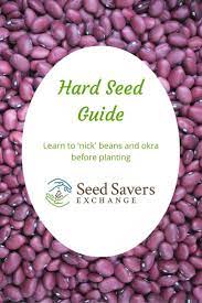 Http Www Seedsavers Org Site Pdf Hardseedguide Final Pdf Scarification Creates A Small Opening In The Seed Coat Where Water Plant Breeding Seed Saving Seeds