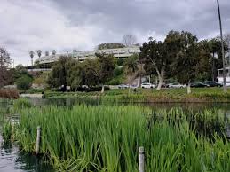 Maybe you would like to learn more about one of these? Echo Park Lake In Los Angeles Ca Usc Viterbi Prospective Students