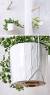 How To Hang Plants From Ceiling Without Drilling
