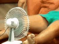 Ventilator gifs om gemakkelijk te delen op social media. Webtalkshow Gif Find Share On Giphy