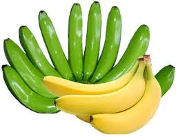 Dwarf cavendish bananas easily thrive in growing zones 4 through 11 in a container, down to 20 degrees. Fresh Yellow Green Cavendish Banana Wholesale Prices Buy Cavendish Banana Packaging Green Banana Product On Alibaba Com