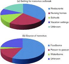 Wash fruits and vegetablesbefore eating. About Norovirus Norovirus Food Poisoning