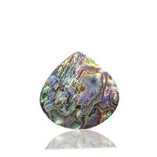Buy 100% Natural Abalone Shell Stone