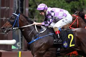 Race-by-race analysis: Happy Valley, May 21