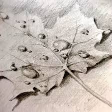 Look at links below to get more options for getting and using clip art. How To Draw A Raindrop On A Leaf Drawing Tutorial Easy