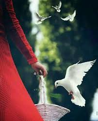 Apr 23, 2017 · whatsapp dp for boys: Pin By Farwa On Alone Cute Girl Wallpaper Profile Picture For Girls Girly Pictures