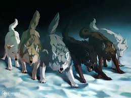 Anime Black And Brown Wolf Times Starting Pack 1 Left Snowdrift 2 Left Emerald 3 Left 3rd Time 3 Right Head Master 2 Right Brownlight 1 R Anime Wolf Anime Wolf Drawing Fantasy Wolf