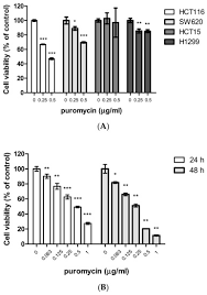 Cancers Free Full Text P53 Dependent Apoptotic Effect Of Puromycin Via Binding Of Ribosomal Protein L5 And L11 To Mdm2 And Its Combination Effect With Rita Or Doxorubicin Html