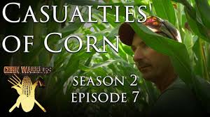 Corn Warriors