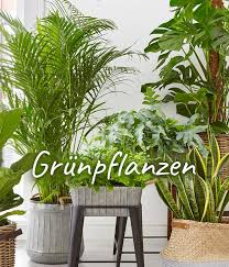 Ökologische produkte für den garten: Dehner Ihr Online Shop Fur Garten Pflanzen Balkon Tiere Dehner