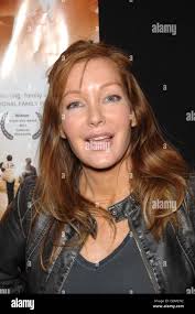 Holly fields hi-res stock photography and images