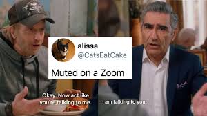 Try these funny zoom backgrounds on for size. 22 Tweets For People Who Are Sick And Tired Of Zoom Calls Culture