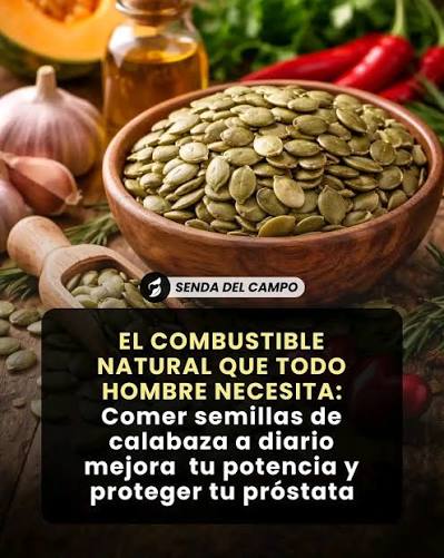 🌿🧔 Hierbas Naturales para el Cuidado de la Próstata 🌿 Una guía visual  que presenta plantas y semillas utilizadas tradicionalmente para promover  la salud prostática de manera natural. 🍂 Incluye: 🔸 Ginseng –