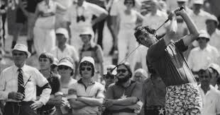 Image result for Eye Rest Green 1977 Hussmann