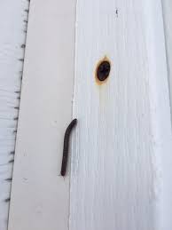 After rain or during high humidity are safe times for worms to move around without dehydrating. Dark Brown Invasive Worms 374433 Ask Extension