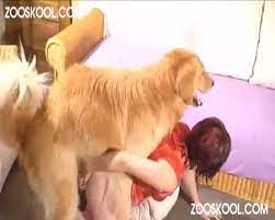 Địt em gái vú to lồn đang nứng. Sex Thu Hay Gai Mang Báº§u Chá»•ng Mong Cho Cho Ä'á»‹t Yakimiha Ru