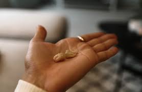 Katia labèque, sting — sumner: Ingrid Aguiluz Vaknet Opp Med Et Smertehelvete Sydd Sting I Munnen