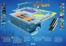 Dubai Aquarium Underwater Zoo Map Guide Maps Online Dubai Aquarium Zoo Map Aqua Nursery