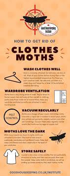 Top ten tips to cope | amoils.com. Get Rid Of Clothes Moths Here S How Pest Control Getting Rid Of Moths Good Housekeeping