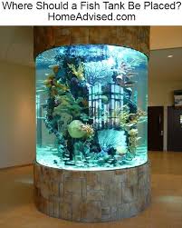 Where Should A Fish Tank Be Placed In 2020 Amazing Aquariums Aquarium Design Aquarium Decorations