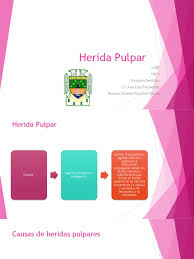 Check spelling or type a new query. Herida Pulpar Herida Medicina Clinica