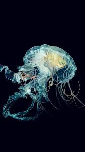 Apple Watch Wallpaper Jellyfish Art Nature Blue Iphone 5s Wallpaper Download Iphone Wallpapers Ipad Wall Jellyfish Art Apple Watch Wallpaper Watch Wallpaper