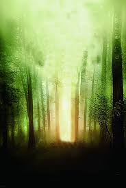 Mystic Forest Tree Light Background Lights Background Background Tree Lighting