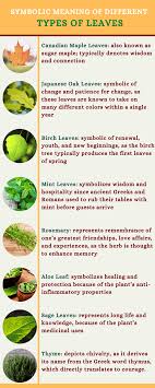 Three articles were found on the topic of color symbolism in. Symbolism Of Leaves And What They Mean Symbol Sage