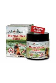 Murmeltiersalbe ist als altes hautmittel aus tirol bekannt. Exmonte Murmeltier Salbe Topf 100 Ml Kosmetische Produkte Fur Spezielle Anwendung Vitaserv Ch Online Drogerie Markt