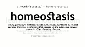 Homeostasis Pronunciation And Definition Youtube