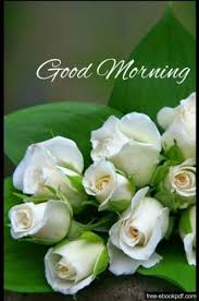 I do guarantee that the unmatched companion of a faithful friend, although i can not ensure without disappointments or failures. Top 20 Beautiful Good Morning Rose Images For Status