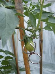 Pin By Anthony On Kitchen Garden Define Art Avant Garde Artists Metal Working