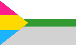 They did the same thing with the bi flag. Pansexual Demiromantic Flag Hmu For Design Advice Queervexillology