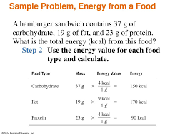How much fat should you have daily? Chapter 3 Matter And Energy Ppt Download