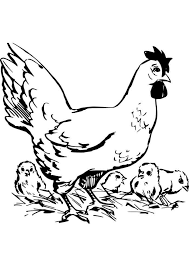 Você também pode se interessar nas desenhos para colorir da categoria galinhas. Galinha Para Colorir 21 Blog Ana Giovanna