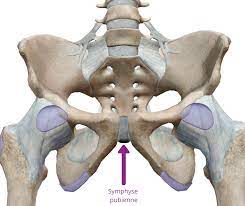 Le bassin est une région très mobile et est le siège de nombreuses adaptations lors de la grossesse. Comment Soulager Les Douleurs Au Pubis Et A L Aine Pendant Et Apres La Grossesse Physio Pelvienne Noemie Seguin Physiotherapeute