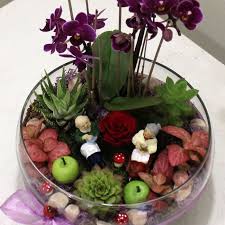 ask masali teraryumlar cicek cicekciler