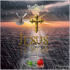 Https Encrypted Tbn0 Gstatic Com Images Q Tbn And9gcqht42op14hj Upsih5ik0orc9qkiq5znajrq Usqp Cau