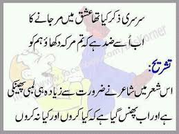 Welcome to World Poetry Site: Urdu Funny Poetry Urdu Love Poetry ...
