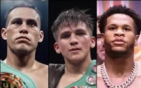 Grandes momentos Mikey García vs Elio Rojas y Santa Cruz vs Frampton