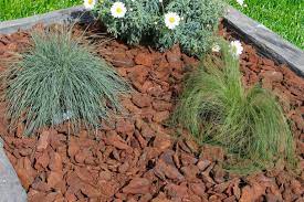 l ecorce de pin est un paillage a la fois utile et decoratif ecorce de pin jardin couvert ecorce de pin maritime