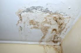 Maybe you would like to learn more about one of these? Water Damage Fire Mold Removal Wichita Ks Rooter Man