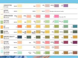 62 Valid Dipstick Urine Analysis Chart