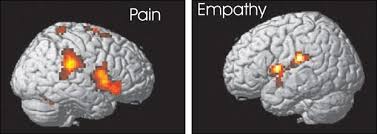 Dr Tania Singer And The Neuroscience Of Empathy