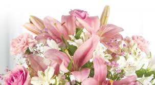15% cash back for online purchases sitewide; Serenata Flowers 20 Off All Orders Promotional Code