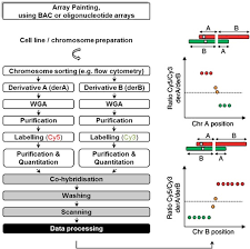 Gribbles blood test package price. Characterising Chromosome Rearrangements Recent Technical Advances In Molecular Cytogenetics Heredity